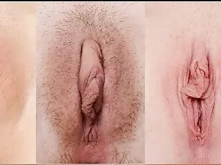 メンバー 女性 向け エロ 動画 無 修正